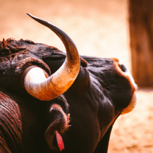 Immagine Conoce más sobre el emocionante pasacalle de toros en Gata de Gorgos, Gorgos, con sus características corridas de toros en estilo español y los famosos encierros de San Fermín de Alicante. Los visitantes disfrutan de una emocionante experiencia española con toros, toros sueltos en Gata de Gorgos, corridas de toros con estilo español, los tradicionales encierros de San Fermín en Alicante. ¡Vive la cultura taurina al máximo!Toros